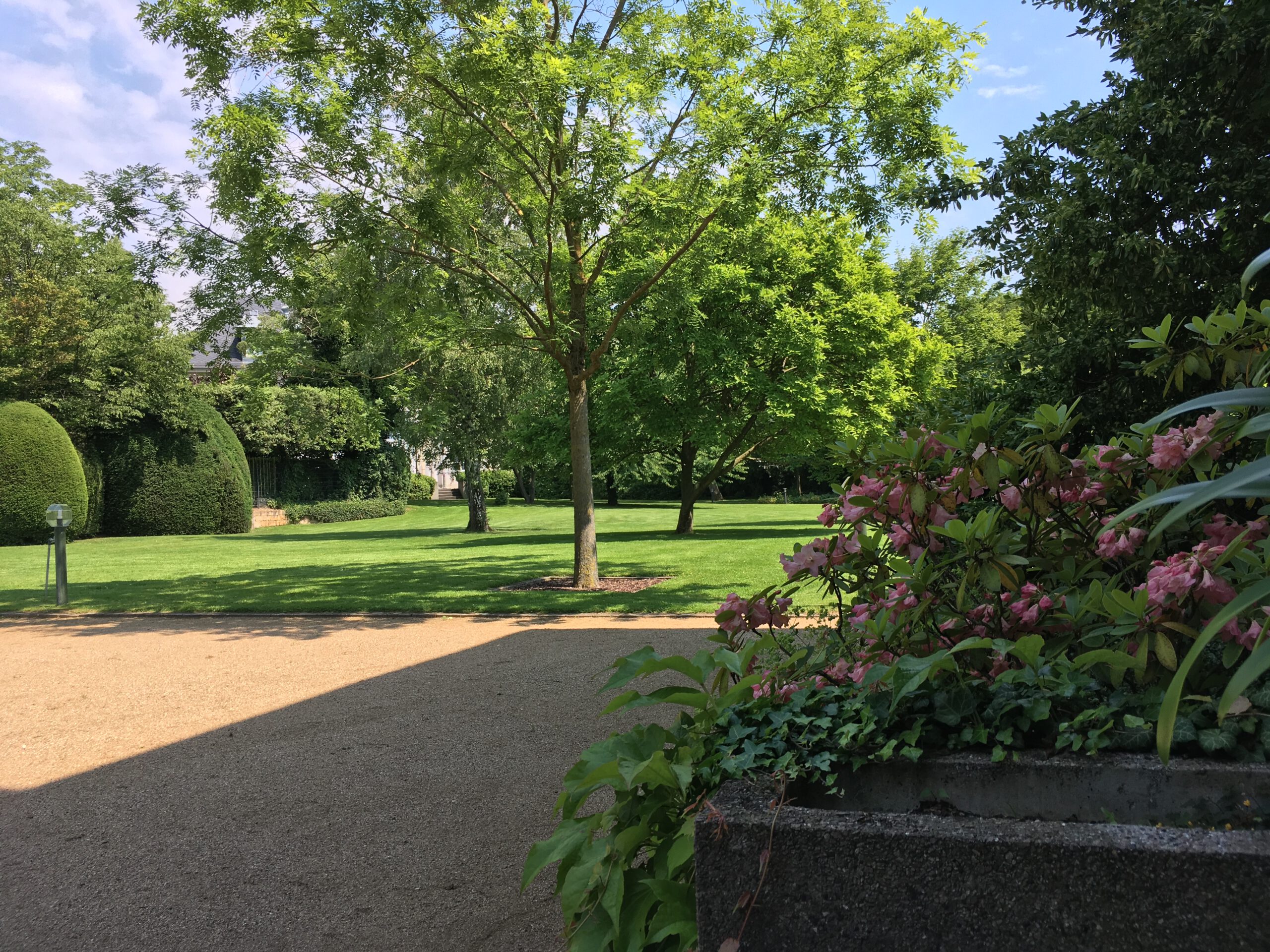 Objektpflege Großanlage Parkbild