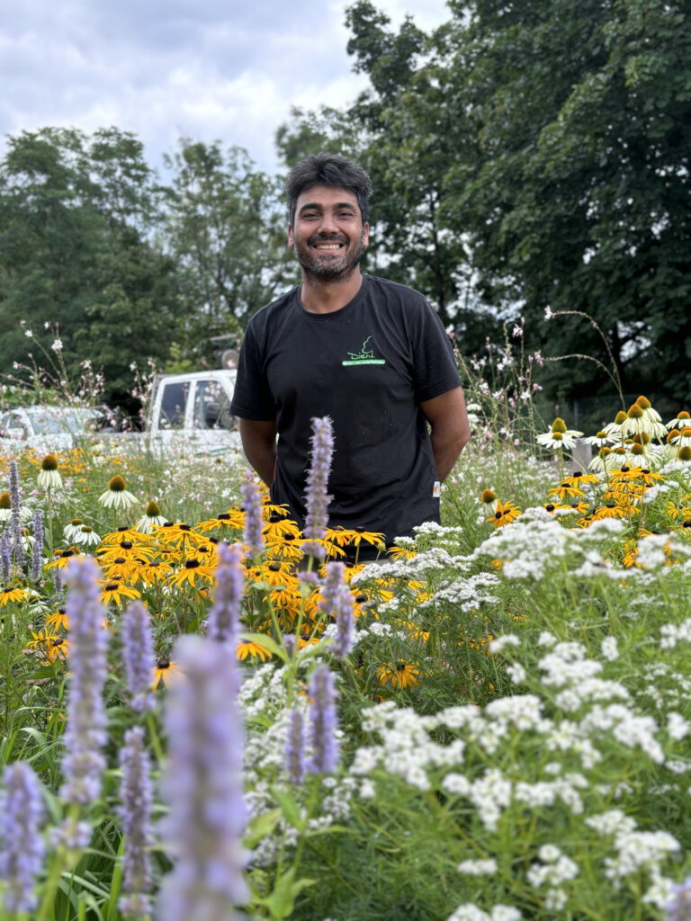 Mitarbeiter Yasin Kazemi im Staudenbeet